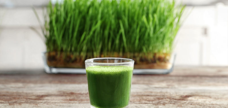 The Benefits of Wheatgrass